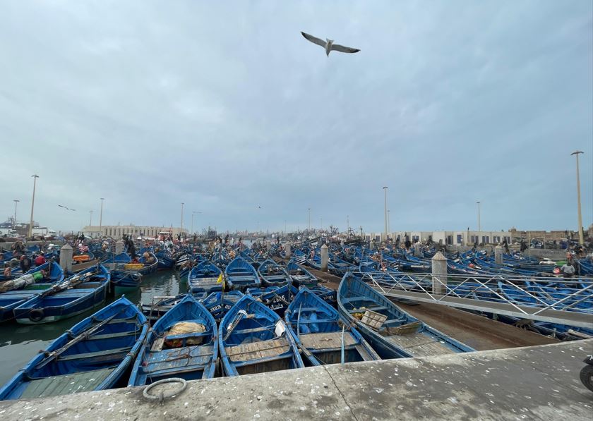 Day Trip to Essaouira from Marrakech