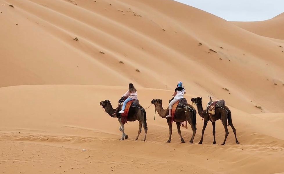 The Camel Trek & Photography